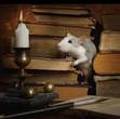 Reading Rat