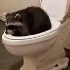 Meowwww