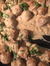 Meatbal...