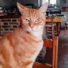 Jean-Luc