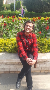 Ahmed Hossam