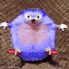 Ihari