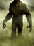SquatchDon’tLie