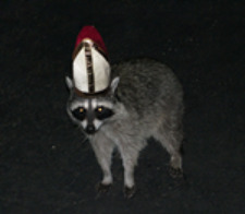 ax