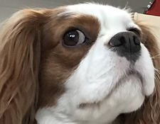 ♡ɪᴢᴢʏ ʙʟᴀᴄᴋ♡