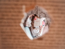 nala | nightsofbooks 