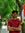 Ketul Shah