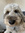 Mark Hill | 17 comments