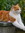 Tigerlily | 17 comments