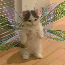 emek ✿✼:*ﾟ:༅｡.⭑