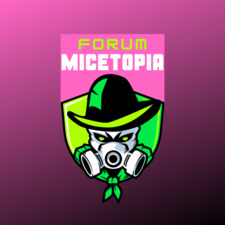 MICETOPIA