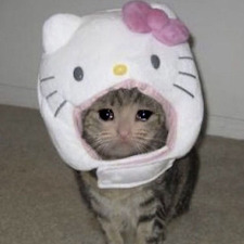 ･ﾟ｡. al.*｡･ﾟ