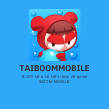 TAIBOOMMOBILE