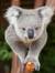 Narelle...