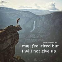 إبراهيم سعد