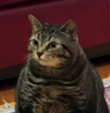 Fred