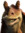 member photo member photo