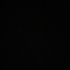 Eline Litsheim-Gaarder