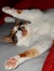Chantal