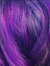 Poppy