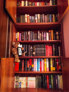 BearInBookland
