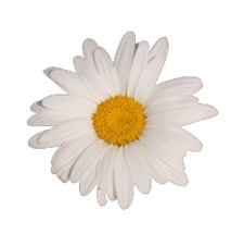 em