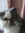 Phoebe McE