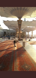 خليل الصاعدي