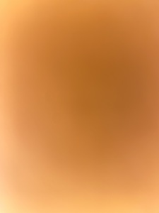 هاني الجهني