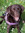 Amy (amybugg) | 2 comments