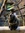 Niels Christian Hansen | 29 comments