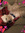 Sheila | 35 comments