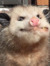 James Big Cat