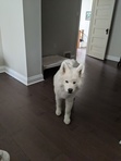 Eric