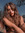 Gaia Bononi | 25 comments