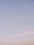 ･｡ﾟ☆ am...