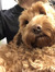 Millie
