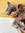 Blair Smith | 4 comments