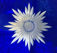 Daisyblue 