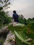 Rohit G...