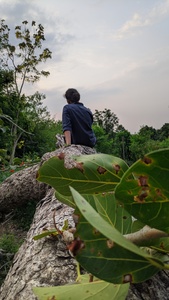 Rohit Guleria