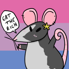 정현