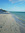 Richard C.  Dawkins | 2 comments