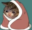 Saige