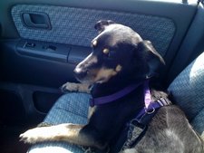 NOLaBookish  aka  blue-collared mind