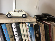 Daniele Dambrauskaite