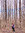 Cora | 1 comments