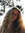 lady kate (katerodey) | 1 comments