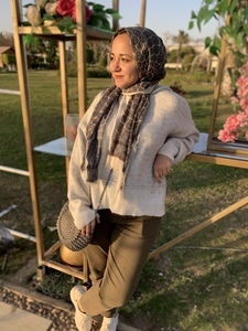 Dina Z. Ahmed
