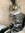 Cat B